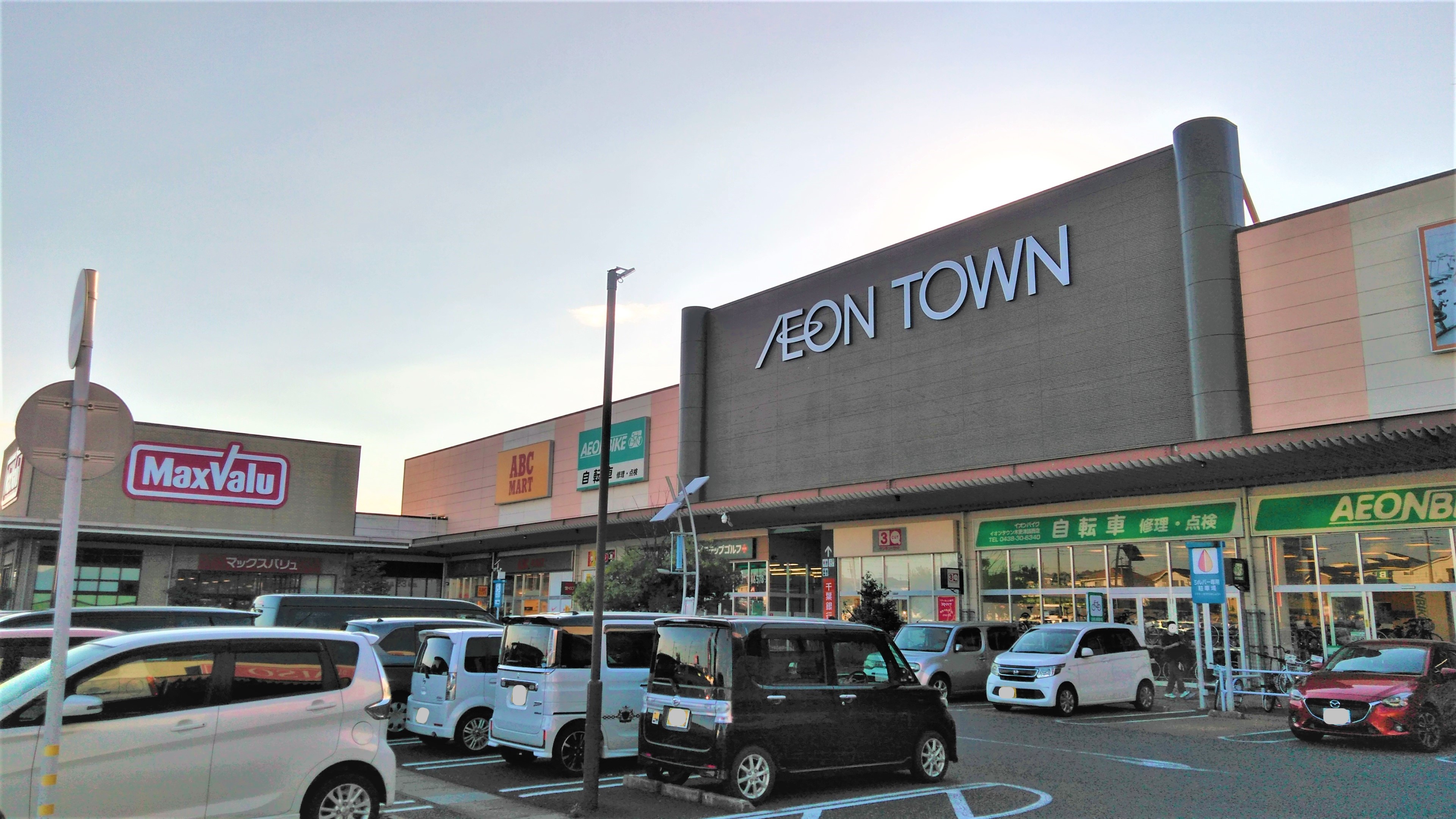 活動歴および当時の関連ビジュアル記録